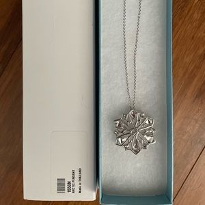 Touchstone Crystal necklace, Arctic Pendant